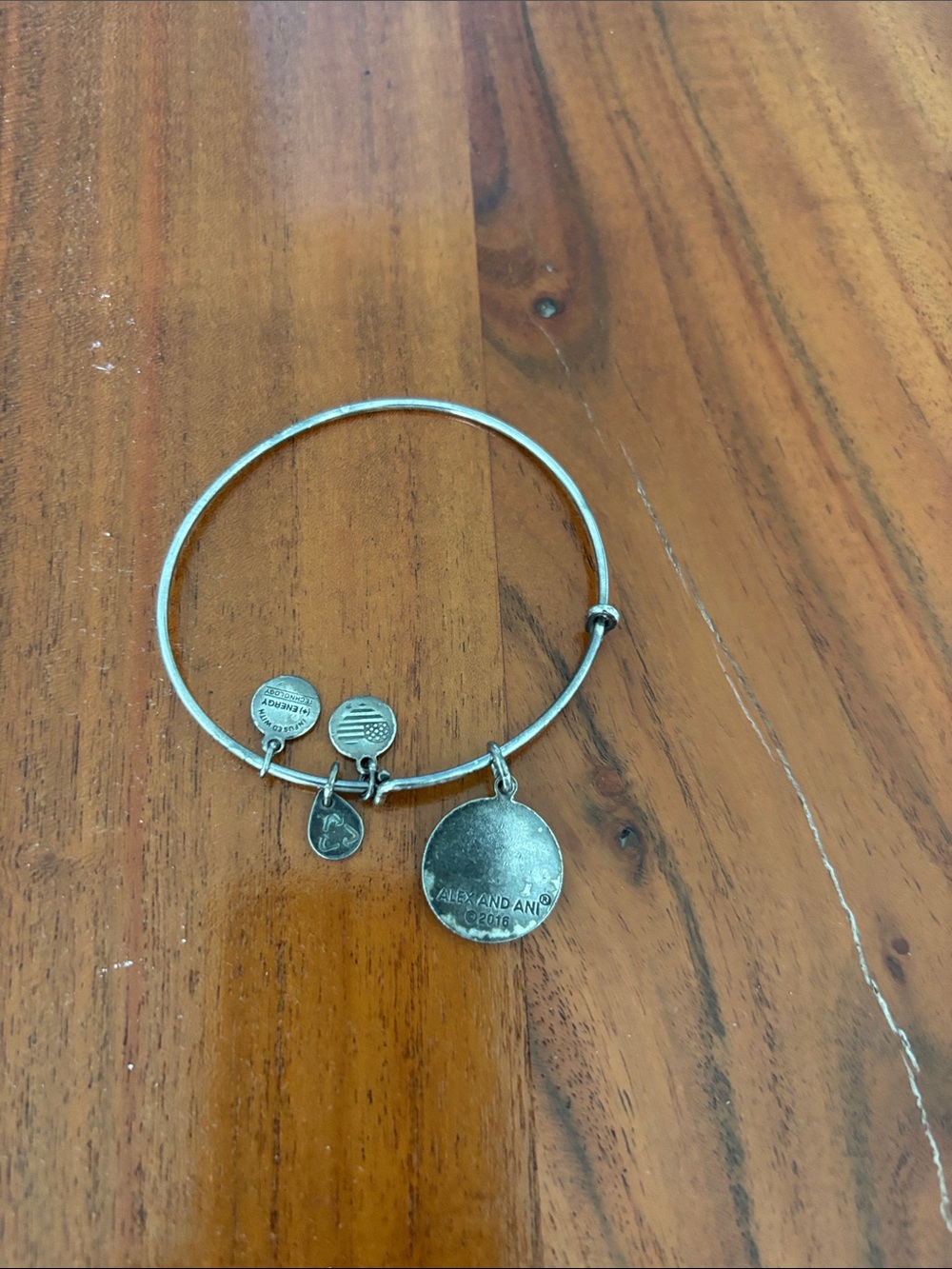 Alex and Ani Silver-Tone Charm Bangle with Round Logo Disc